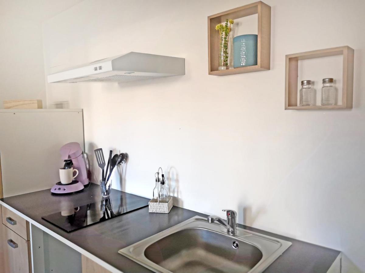 Appartement Avec Jardin - Centre Кастелнодари Екстериор снимка