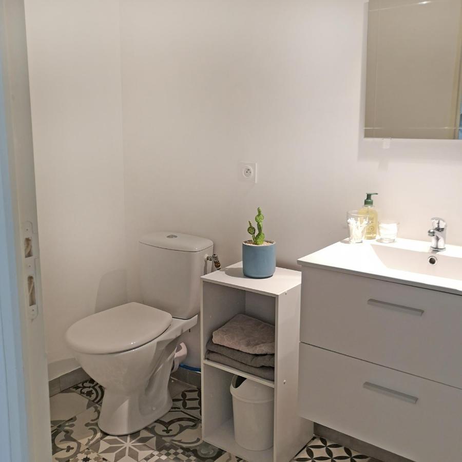 Appartement Avec Jardin - Centre Кастелнодари Екстериор снимка