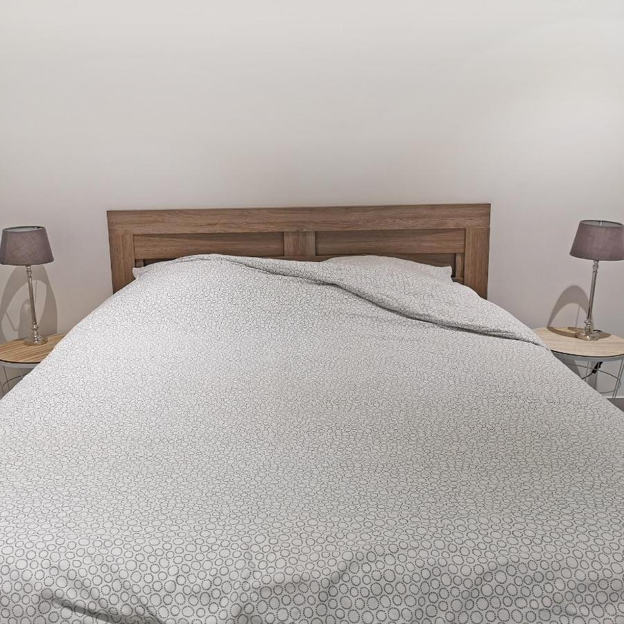 Appartement Avec Jardin - Centre Кастелнодари Екстериор снимка
