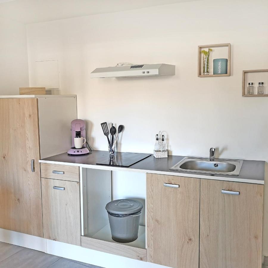 Appartement Avec Jardin - Centre Кастелнодари Екстериор снимка